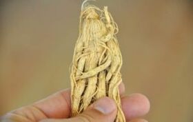 Hierbas para agrandar el pene